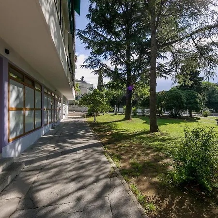 Palomia B 스플리트